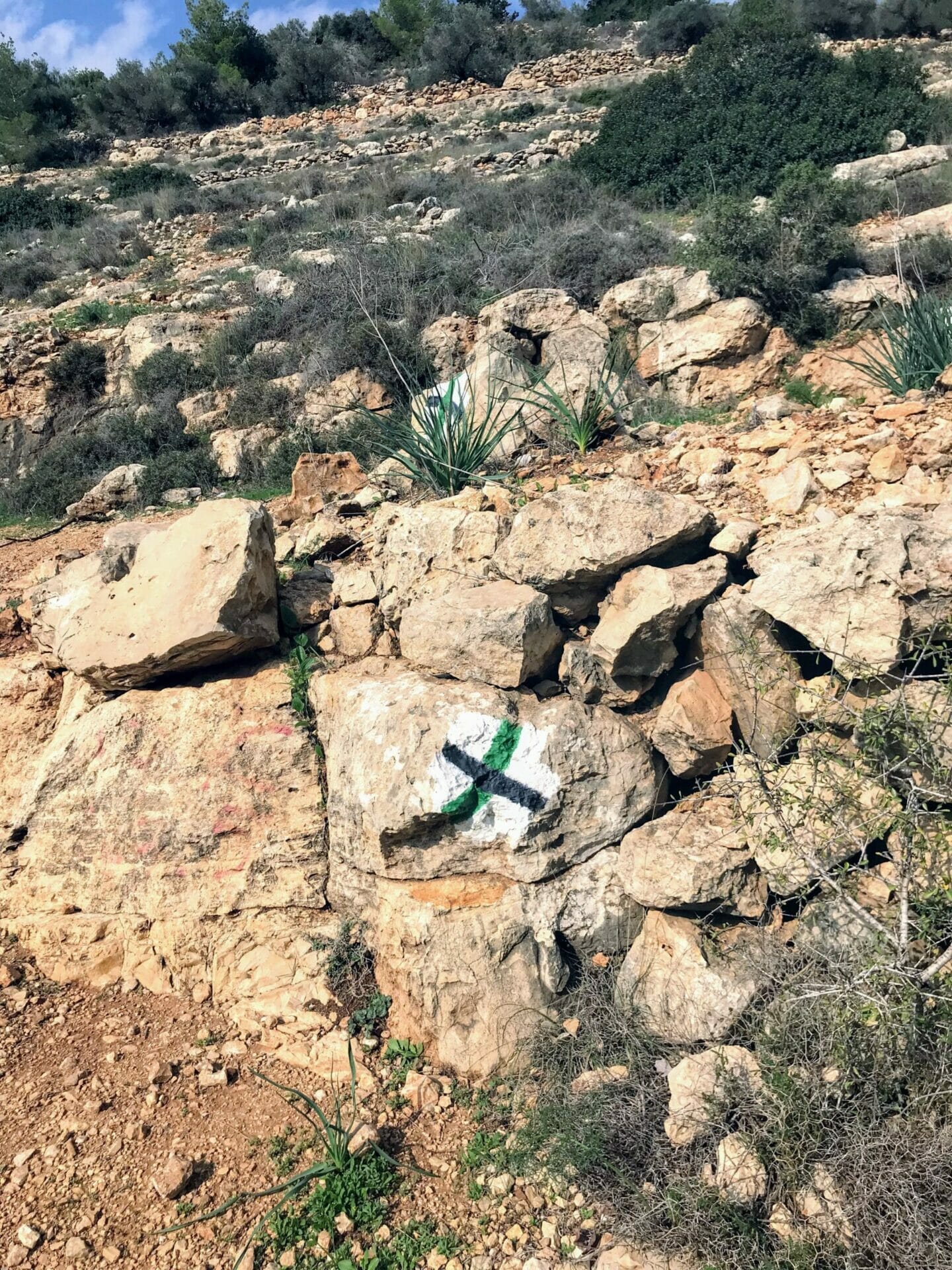 Beit Shemesh Hike Kedoshim Forest