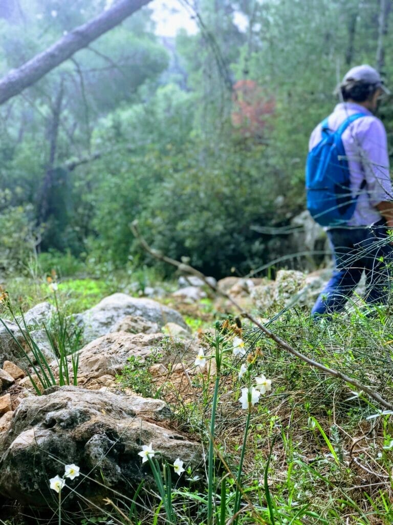 Beit Shemesh Hike - Kedoshim Forest.