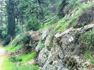Beit Shemesh Hike Kedoshim Forest
