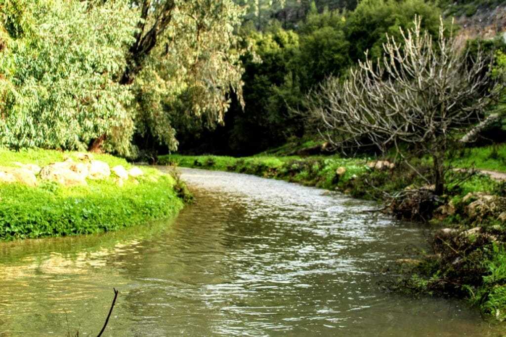 Hikes near Jerusalem.