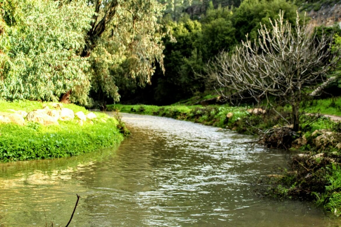 A Winter River – Nahal Refaim