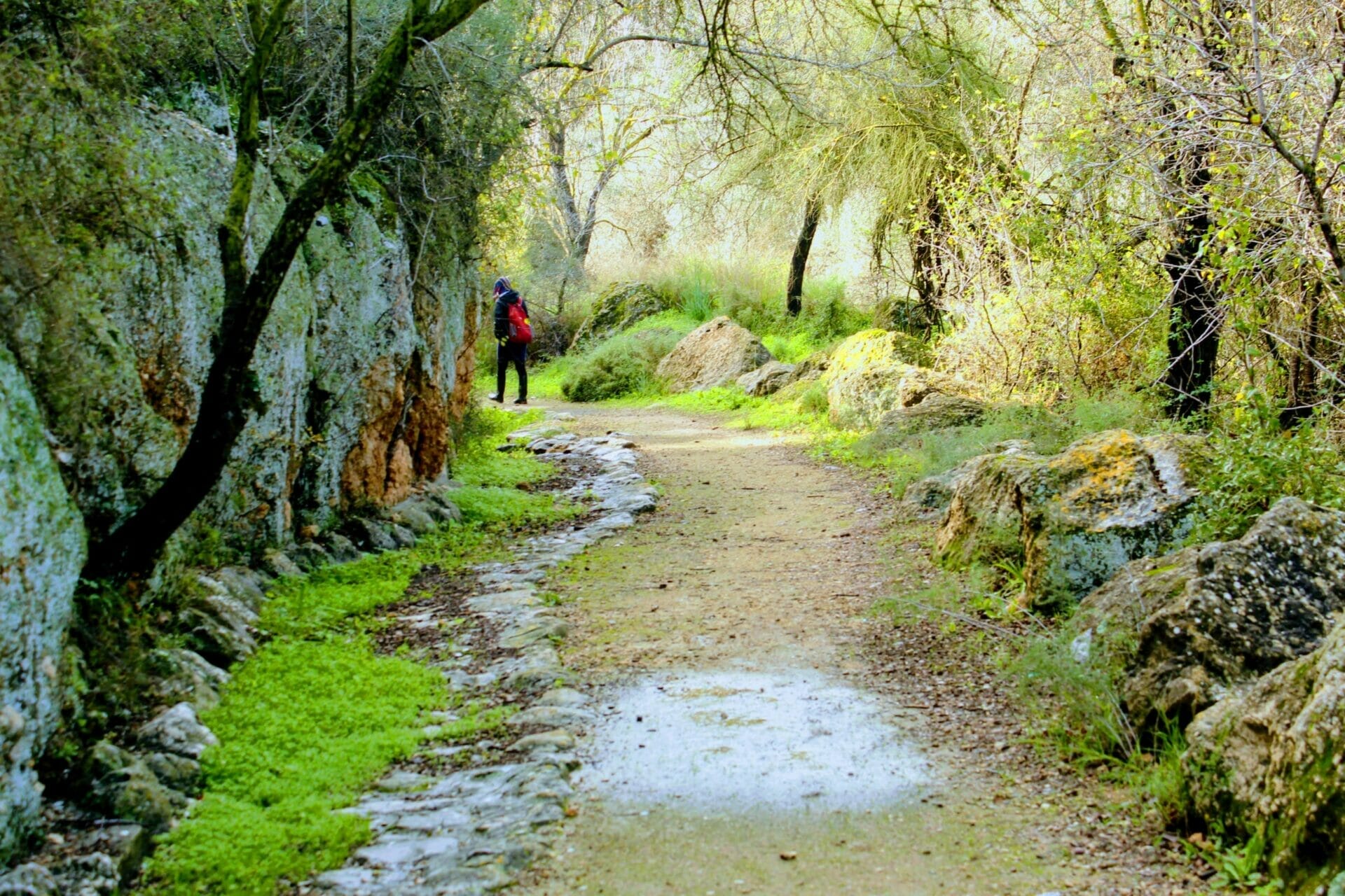 10779880176_IMG_3643