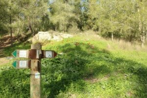 Continue straight on the green trail. Ben Shemen hike.