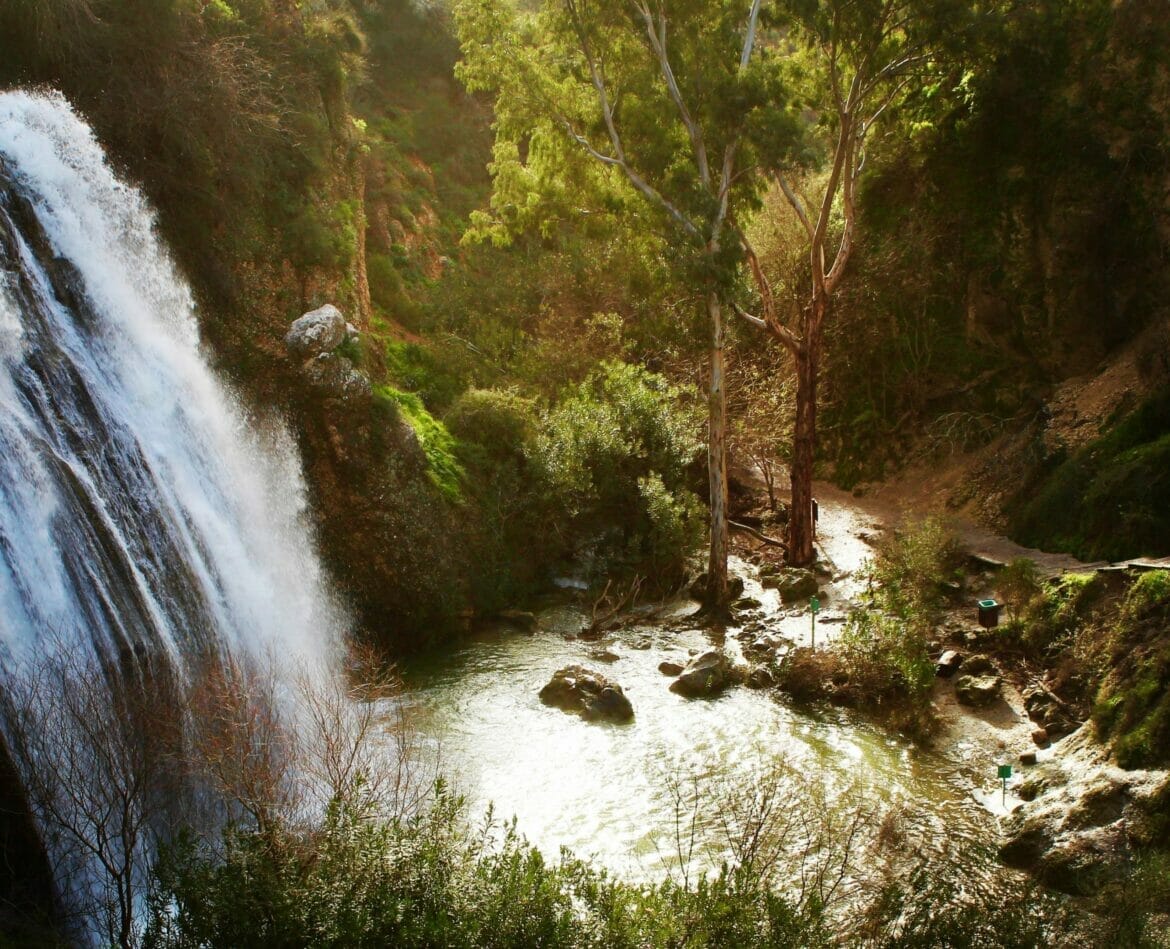 Nahal Iyon waterfall hike.