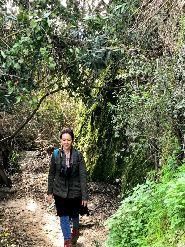 Nahal Iyon waterfall hike Israel.