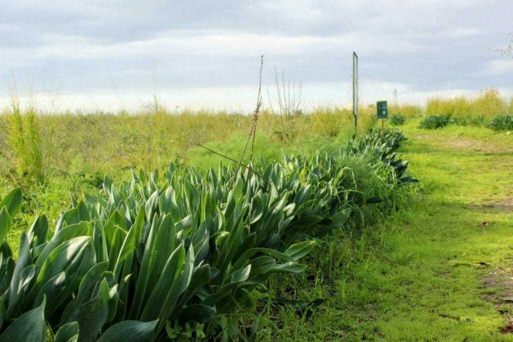 Yarkon National Park hike.