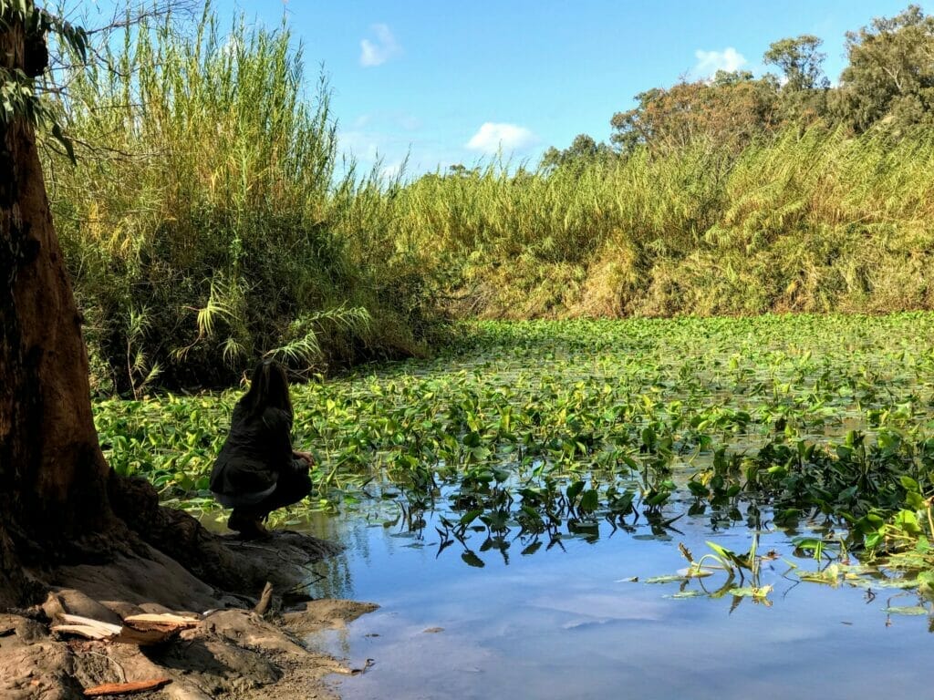 Yarkon National Park hike.