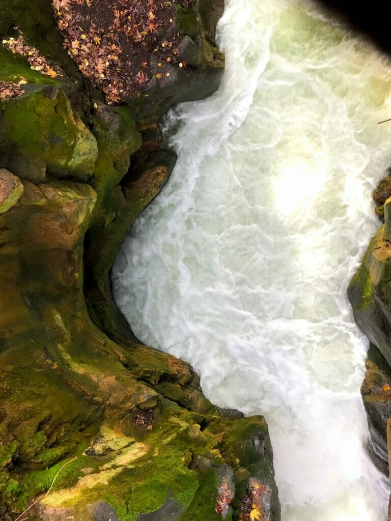 The Banias hike.