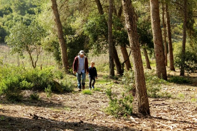 Nahal Hameara Israel hike.