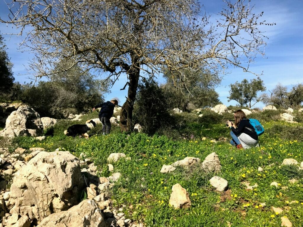 Nahal Hameara Israel hike.