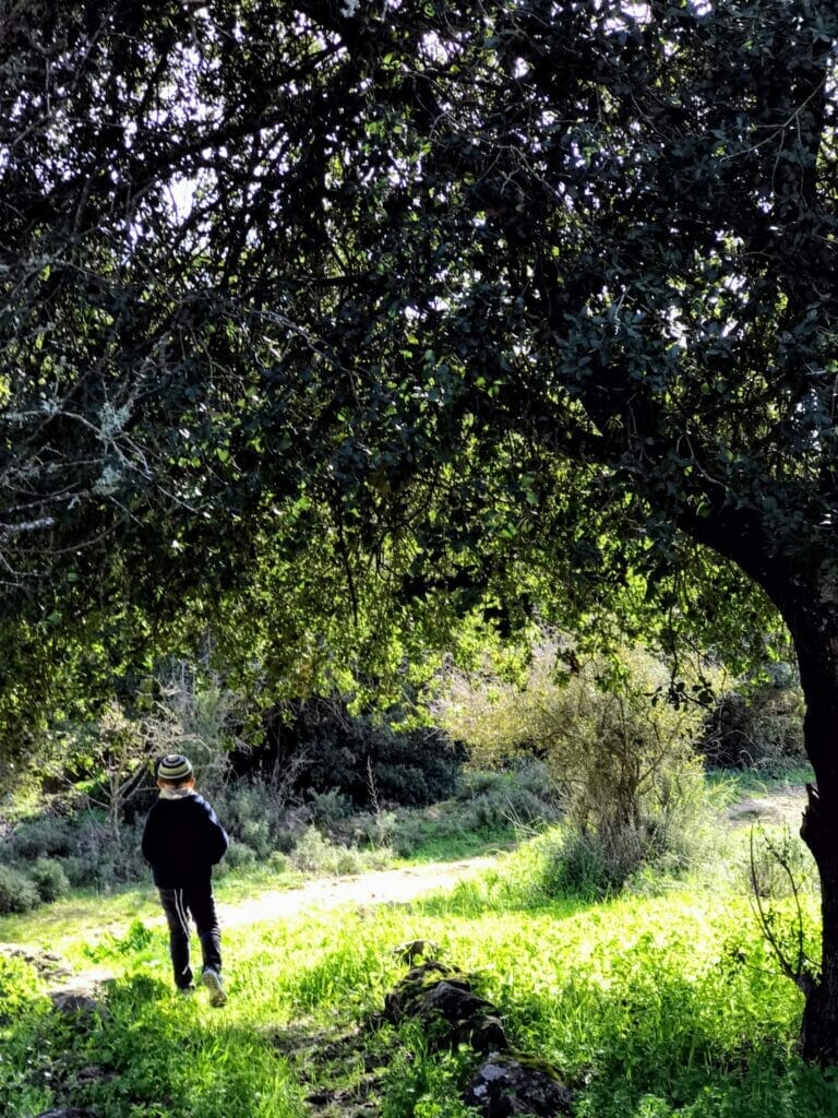 Nahal Hameara Israel hike.