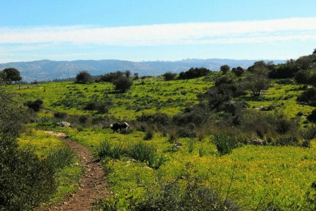 Park Adulam Beit Shemesh hike.