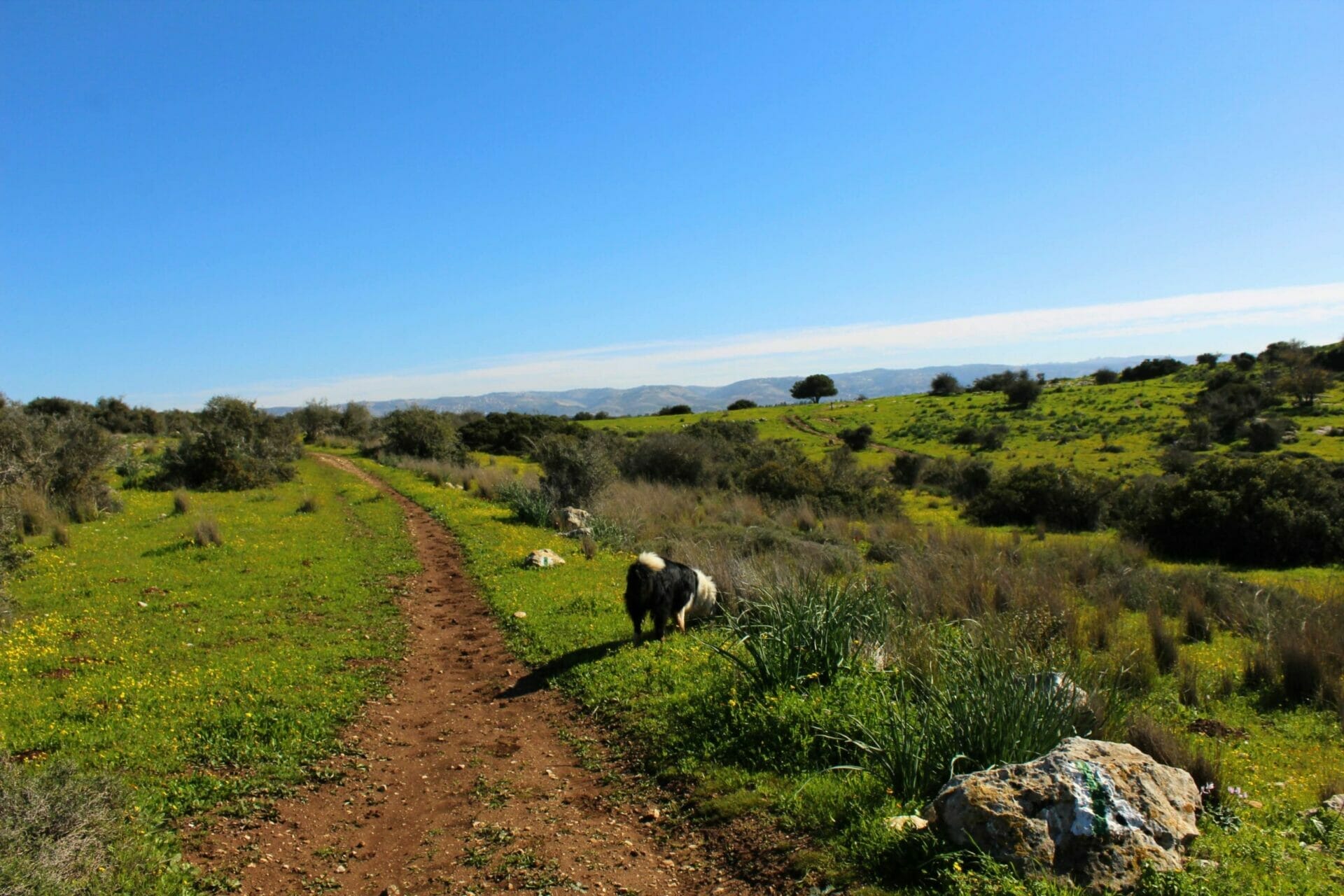 10764695808_IMG_5712