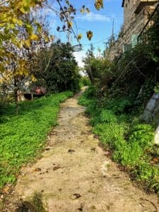 Derech Hagefen Cafe hike.