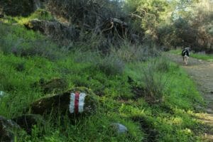 Nahal Dolev Israel hike.
