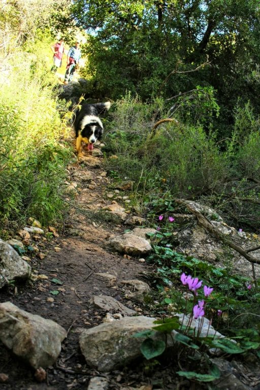 Nahal Dolev Israel hike.