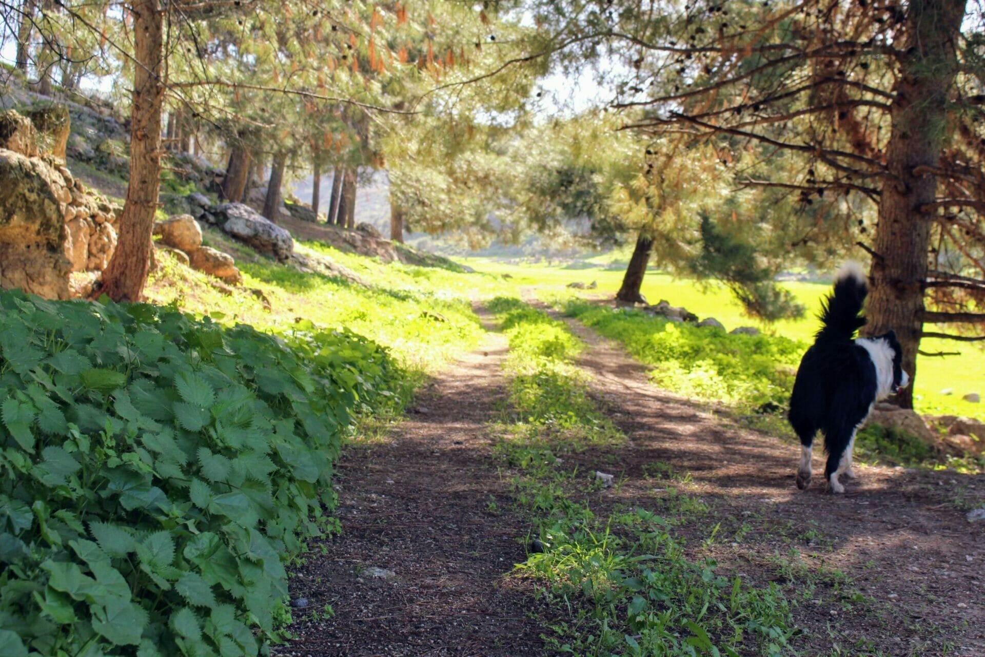 10796643024_IMG_5419