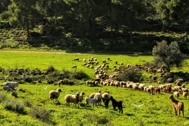 Nahal Dolev Israel hike.