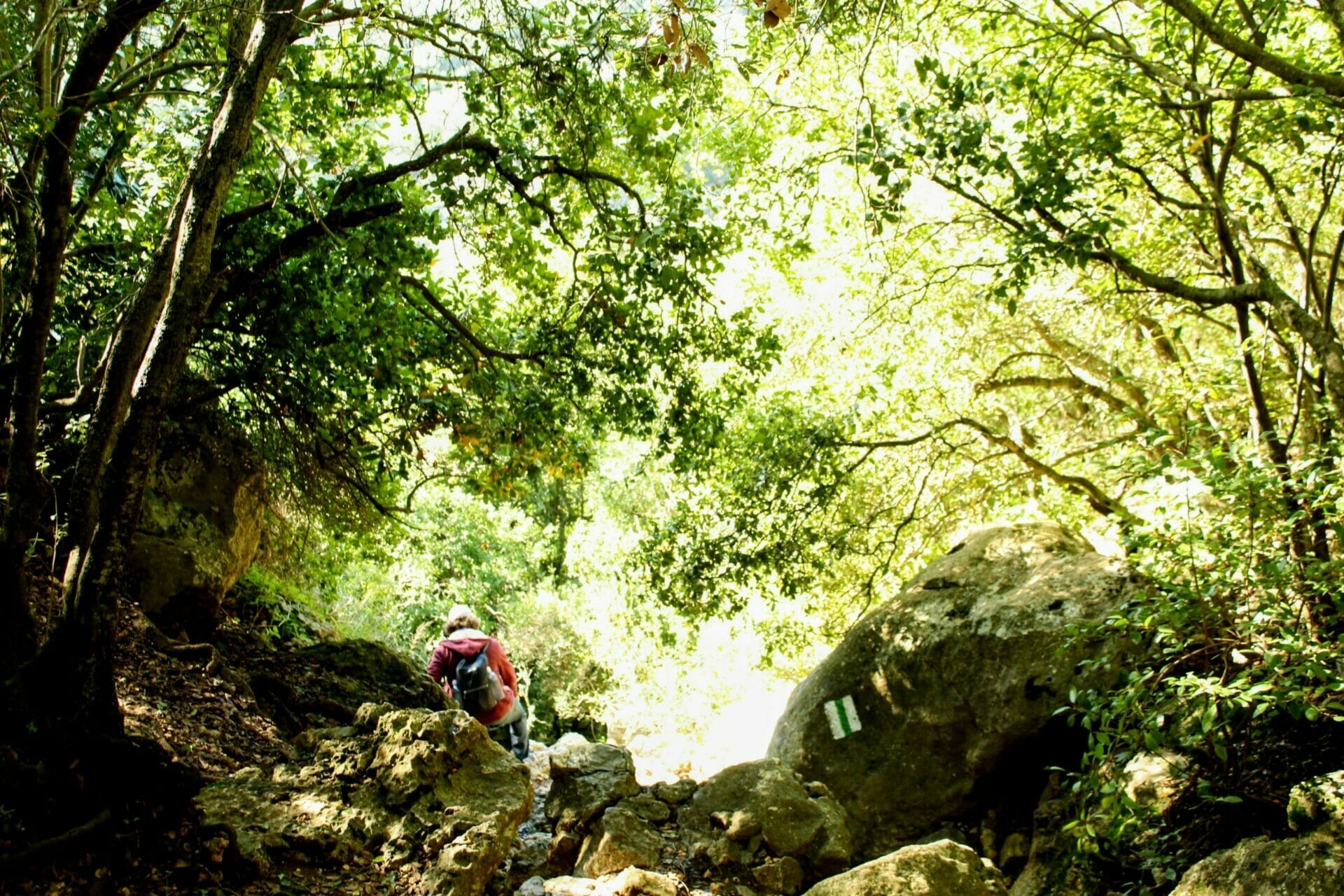 10755176224_IMG_4987