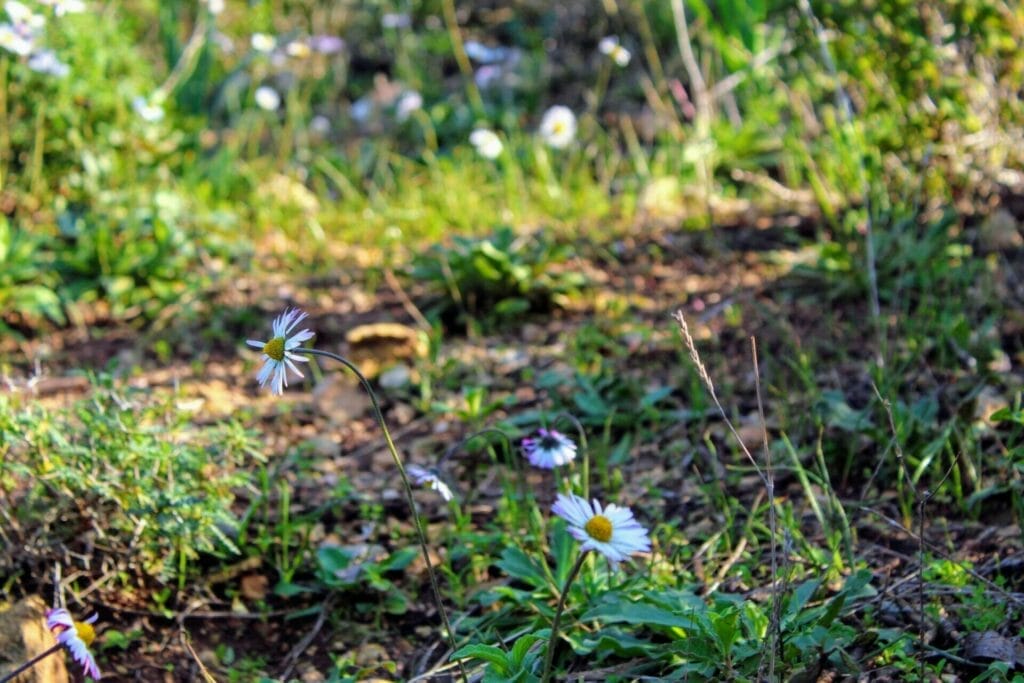 Little Switzerland Carmel Mountain Kelach hike.