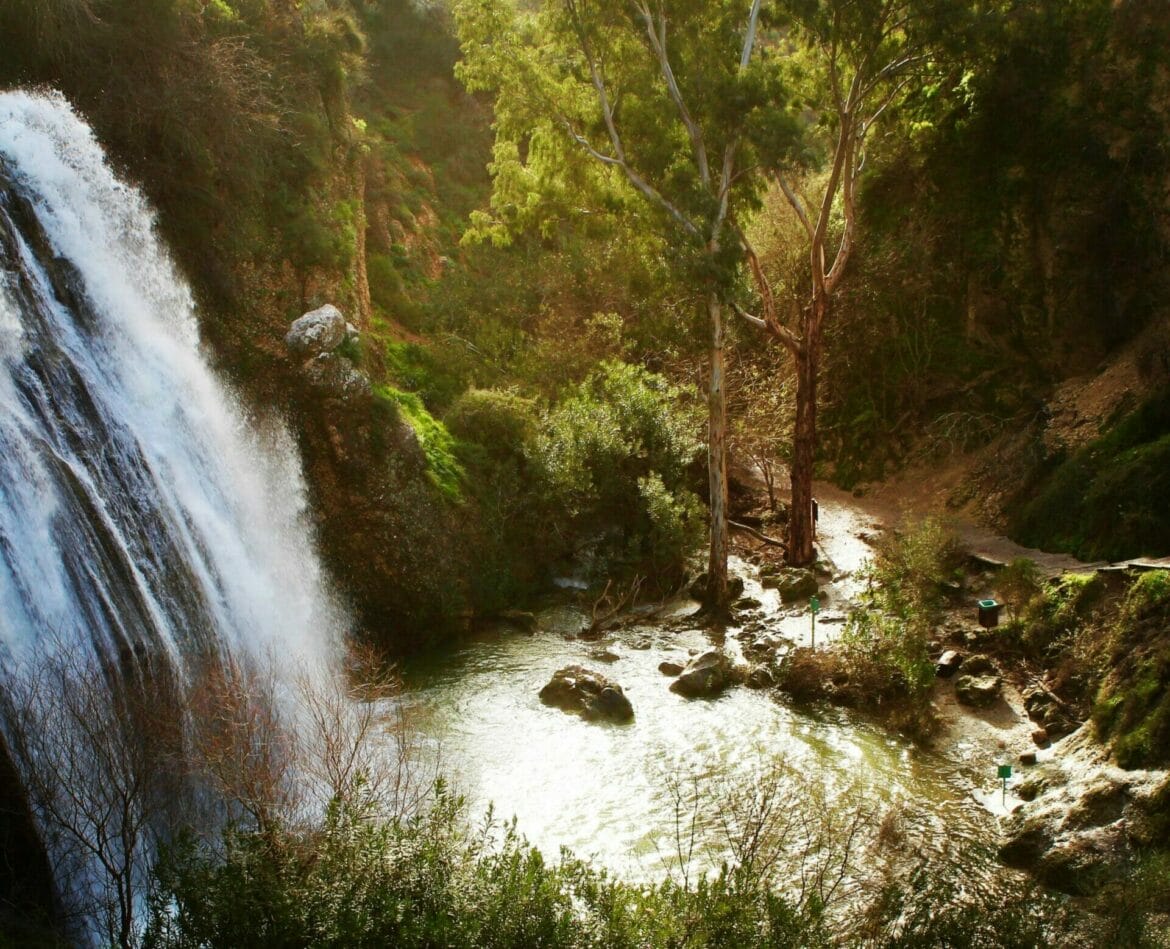Nahal Ayun Nature Reserve: Waterfall Hike