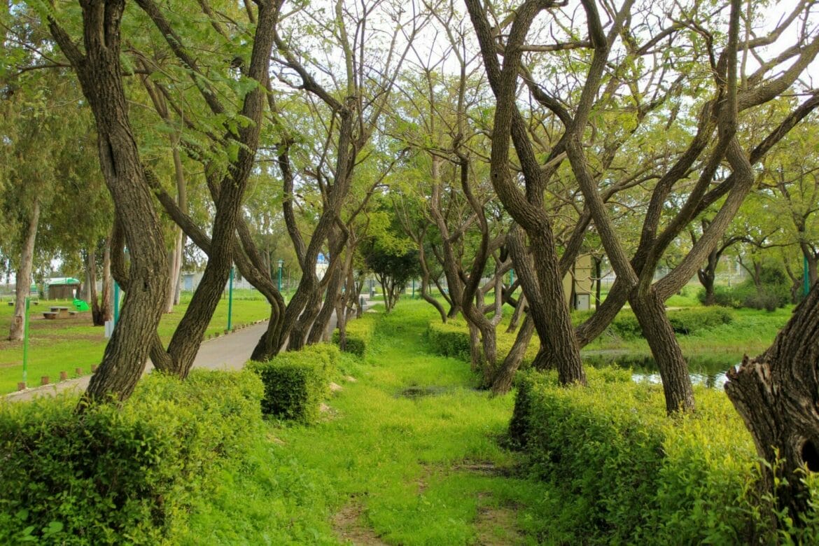 Yarkon National Park- A Riverside Walk