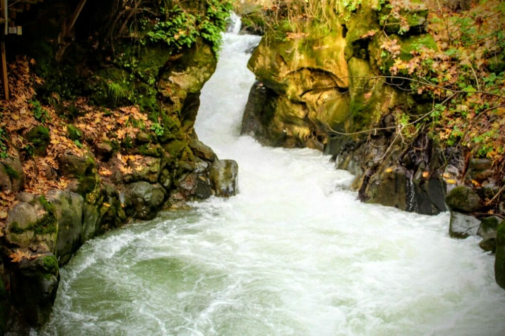 Banias hike.