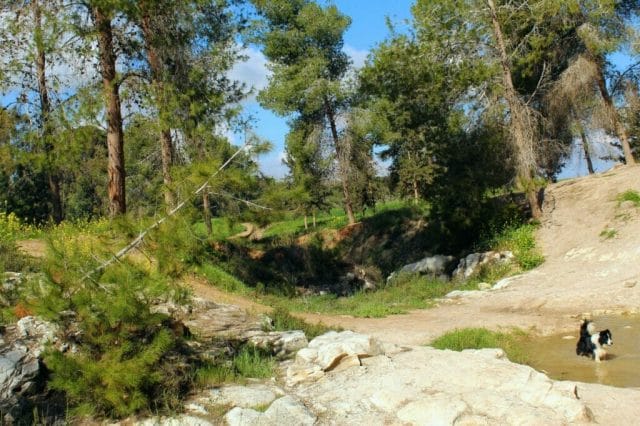 Pura Nature Reserve hike.
