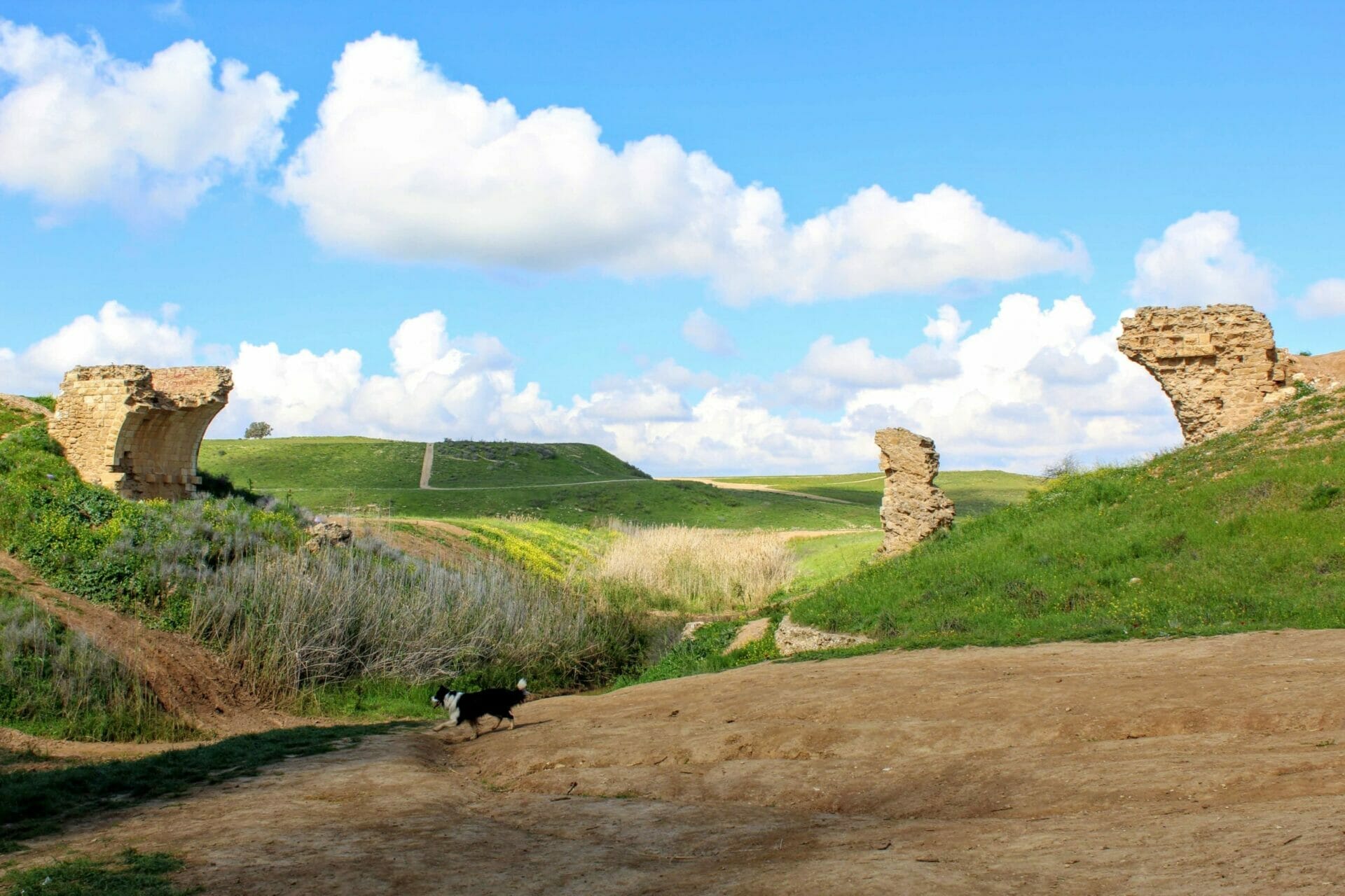 5666080209522369654_IMG_8455