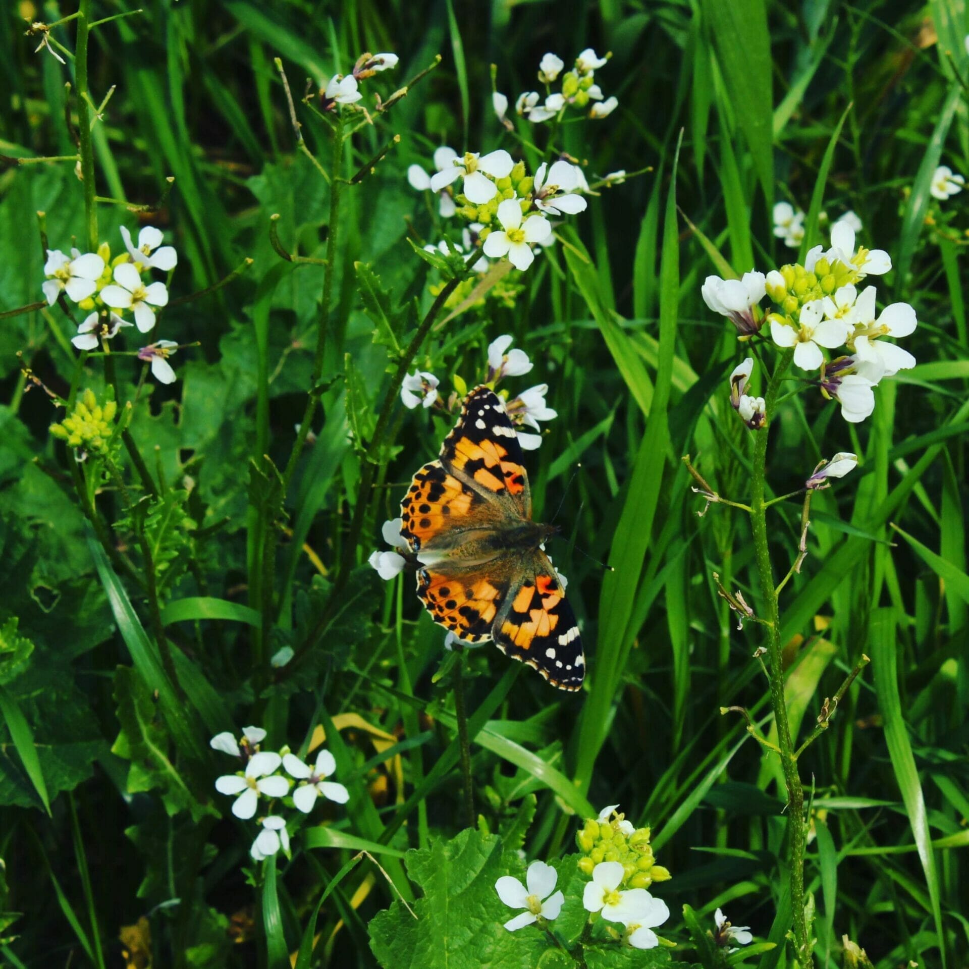 Pura Nature Reserve hike.