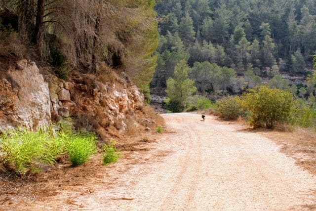 Hikes Near Jerusalem
