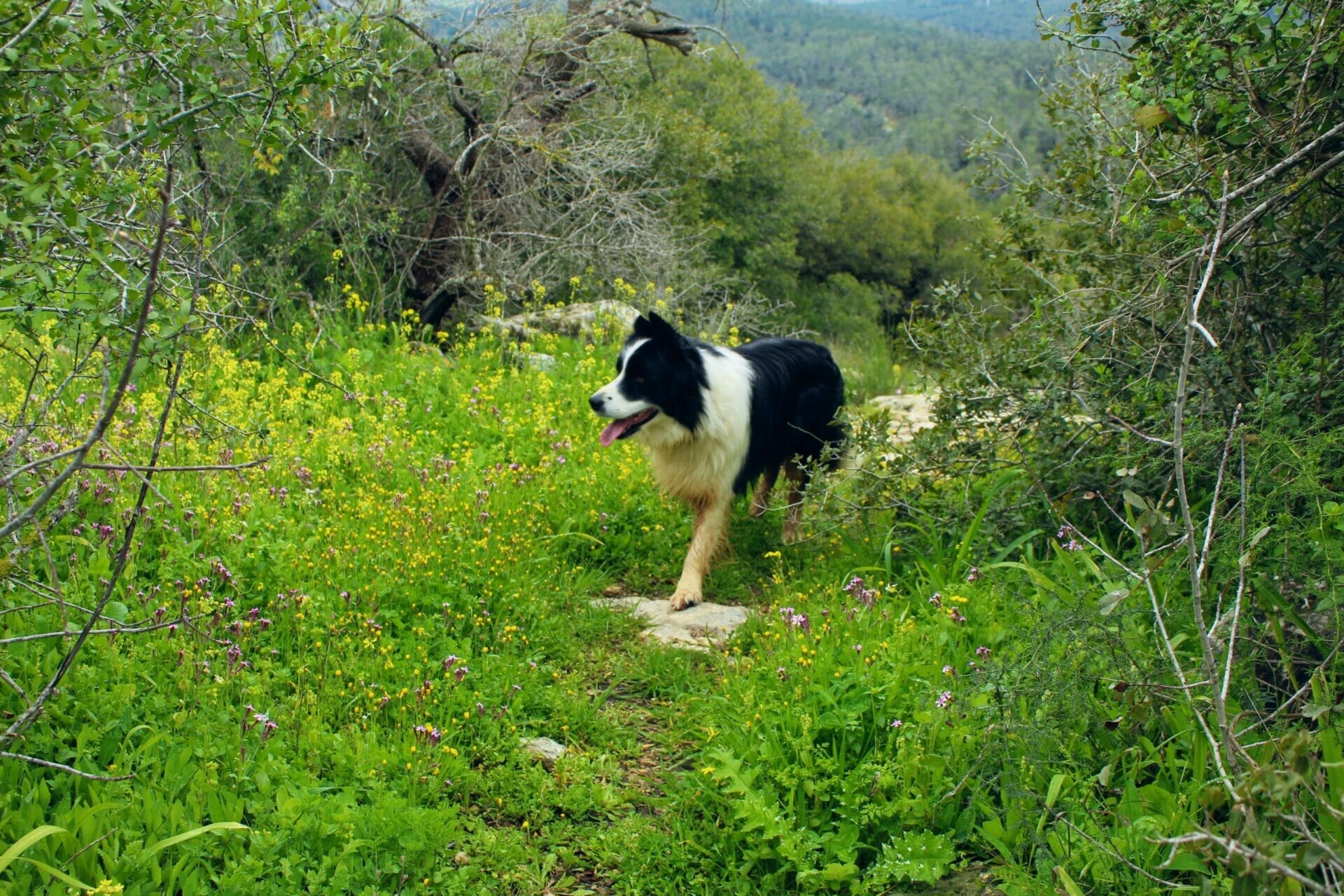 10783527328_IMG_8316