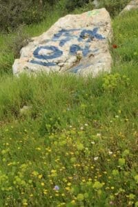 When you see a trail on the right with this sign, turn right. Green, yellow, green. On your left will be a fence (enclosing a large farm). Givat HaTurmosim hike.