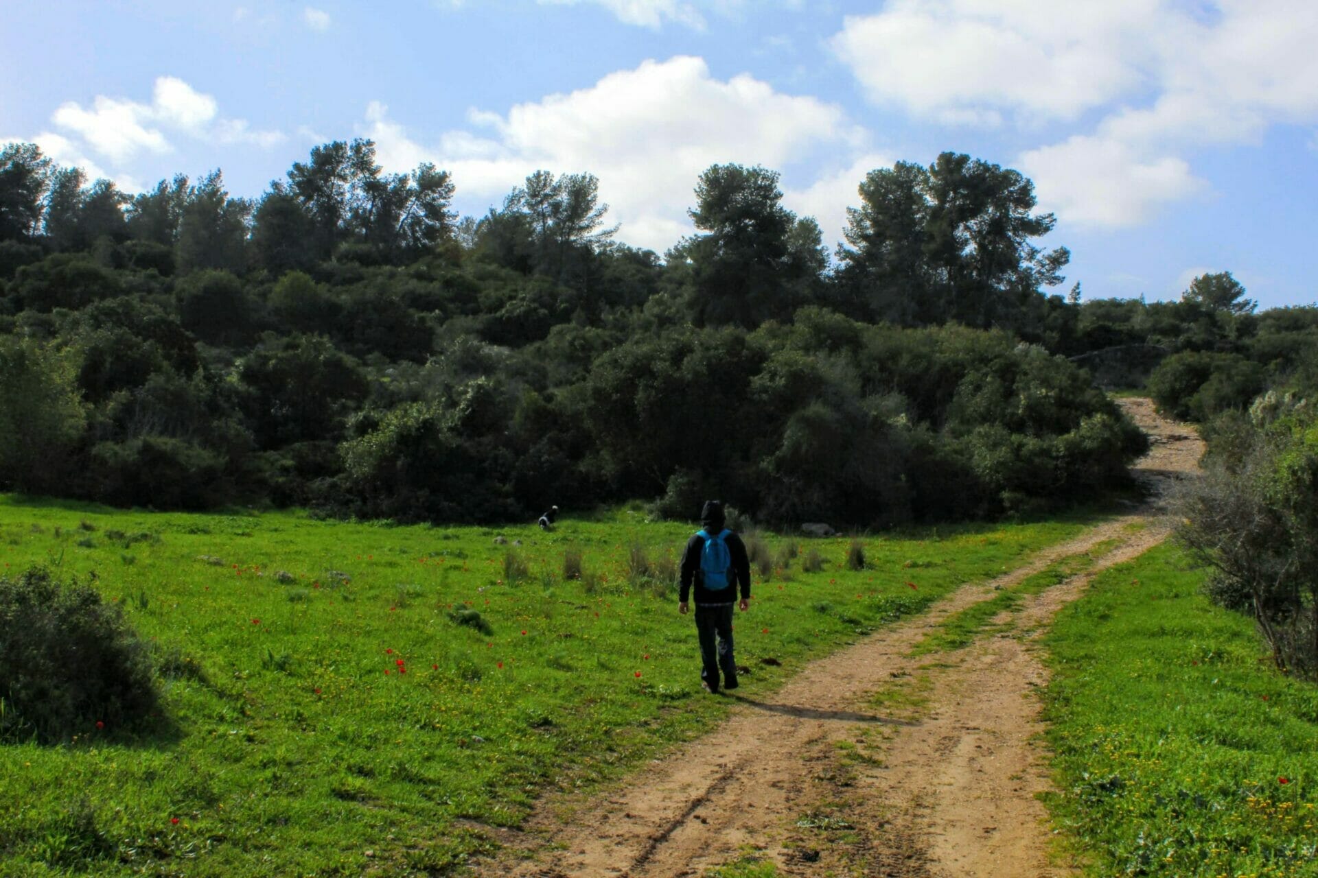 Givat HaTurmosim hike.