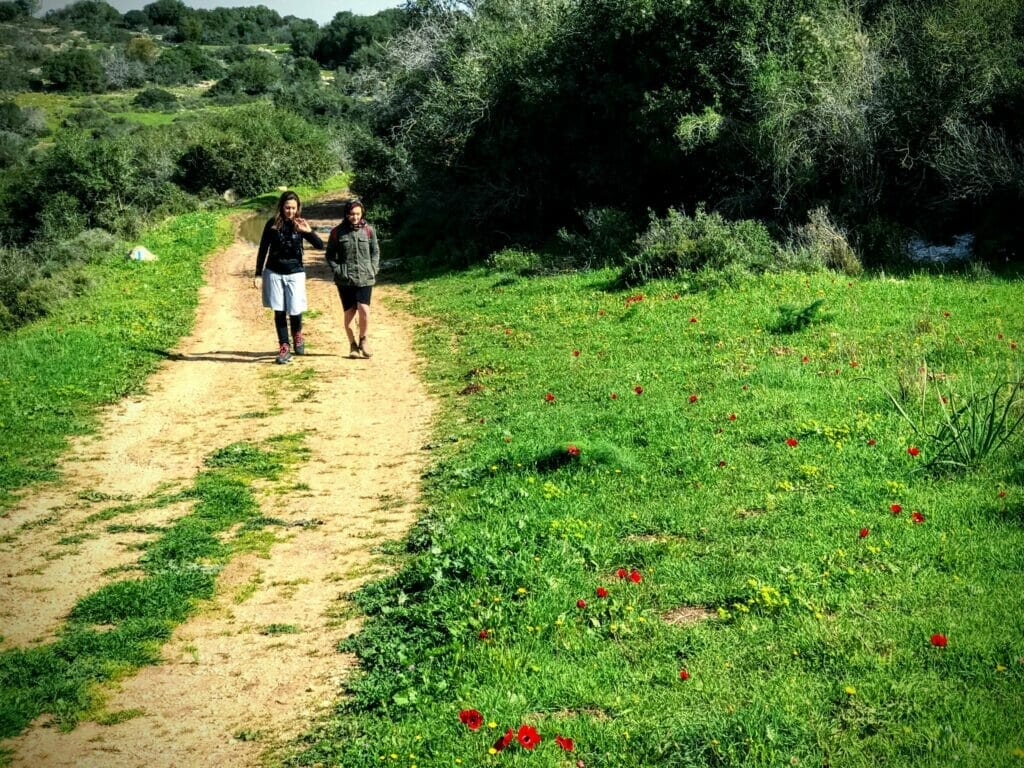 Givat HaTurmosim hike.