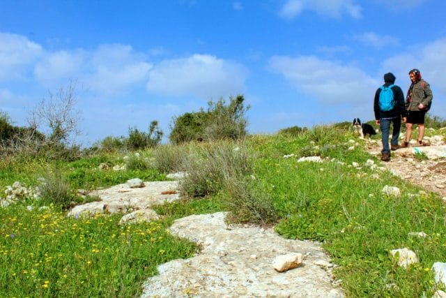 Givat HaTurmosim hike.