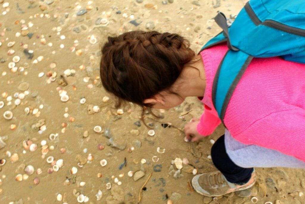 Nahal Alexander Hike.