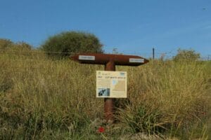 Ruhama Badlands - Darom Adom.