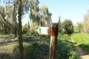 Ruhama Badlands - Darom Adom.