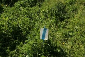 Ruhama Badlands - Darom Adom.