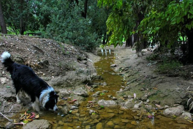Burma Road hike Israel.