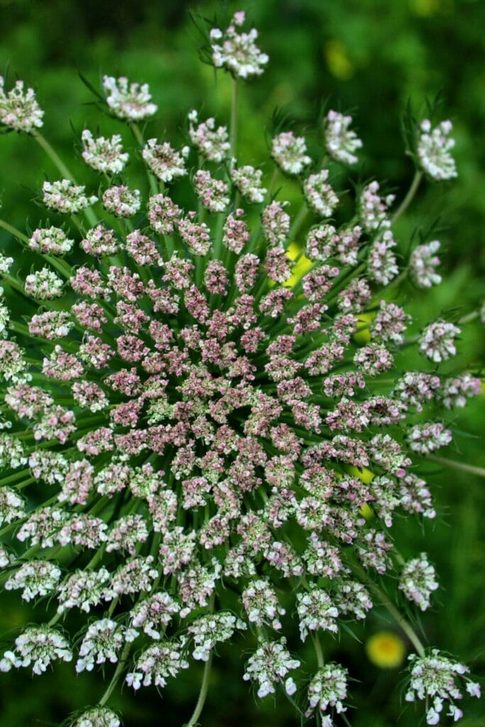Burma Road hike Israel.