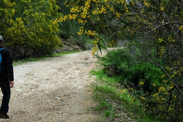 Burma Road hike Israel.