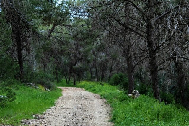 Burma Road hike Israel.