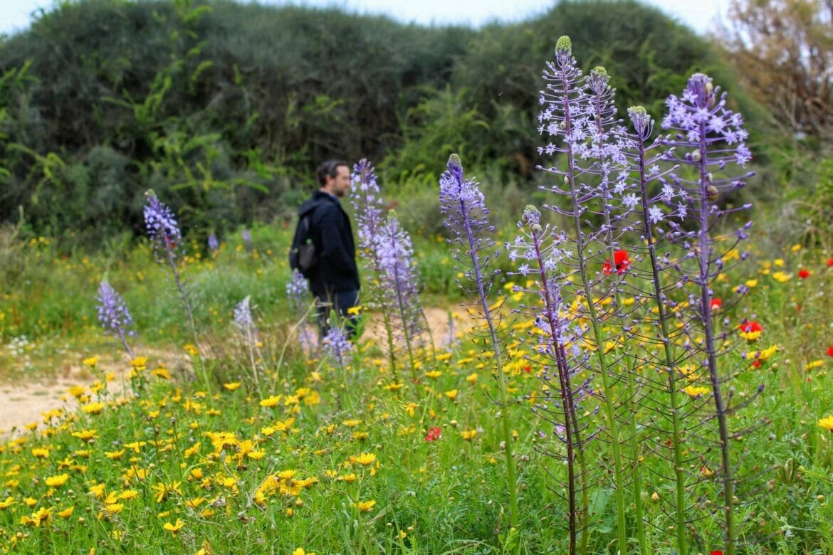 Hof HaSharon Reserve