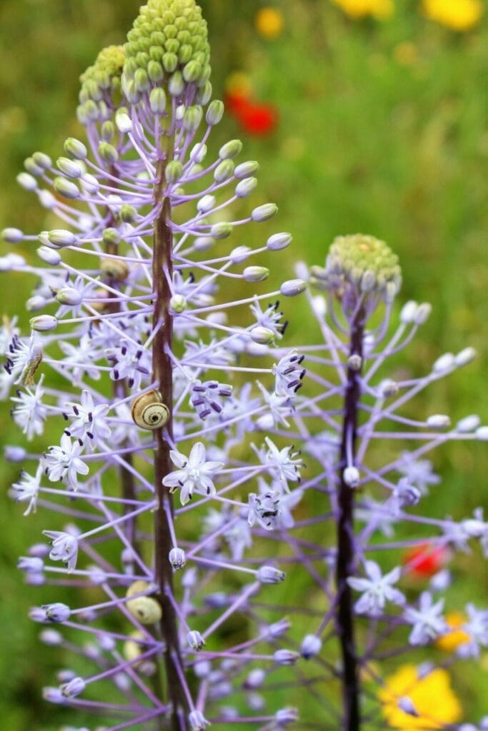 Hof HaSharon Shefayim Hike.