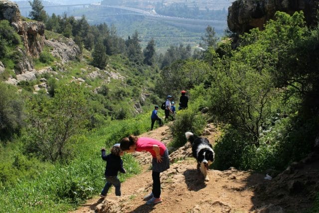 Nahal Halilim hike - Israel hikes by bus.