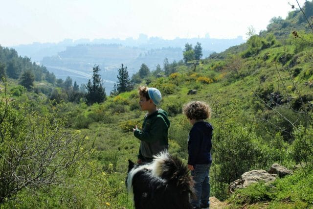 Nahal Halilim Jerusalem hike.