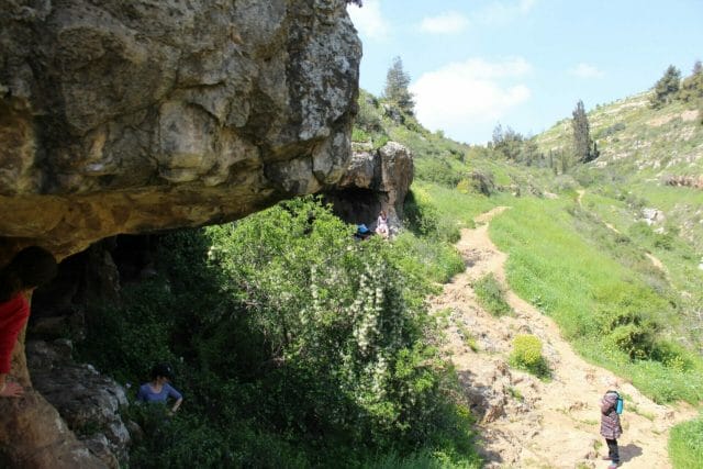 Nahal Halilim Jerusalem Hike.