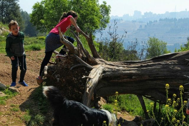 Nahal Halilim Jerusalem hike.